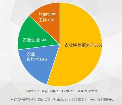 农业科技公司再获12亿融资,极飞如何用无人化技术撬动万亿农村市场